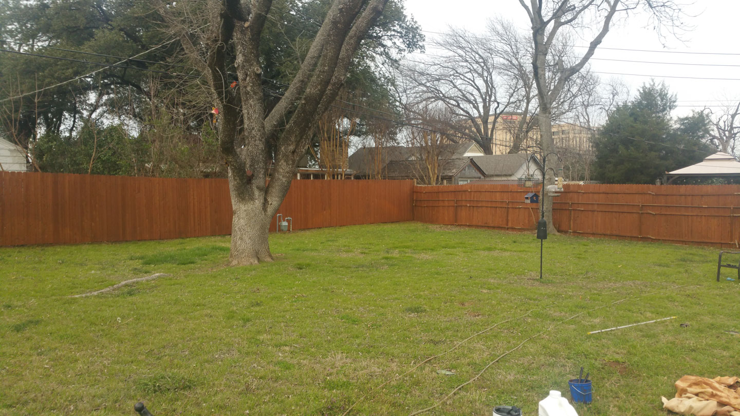 after fence stain