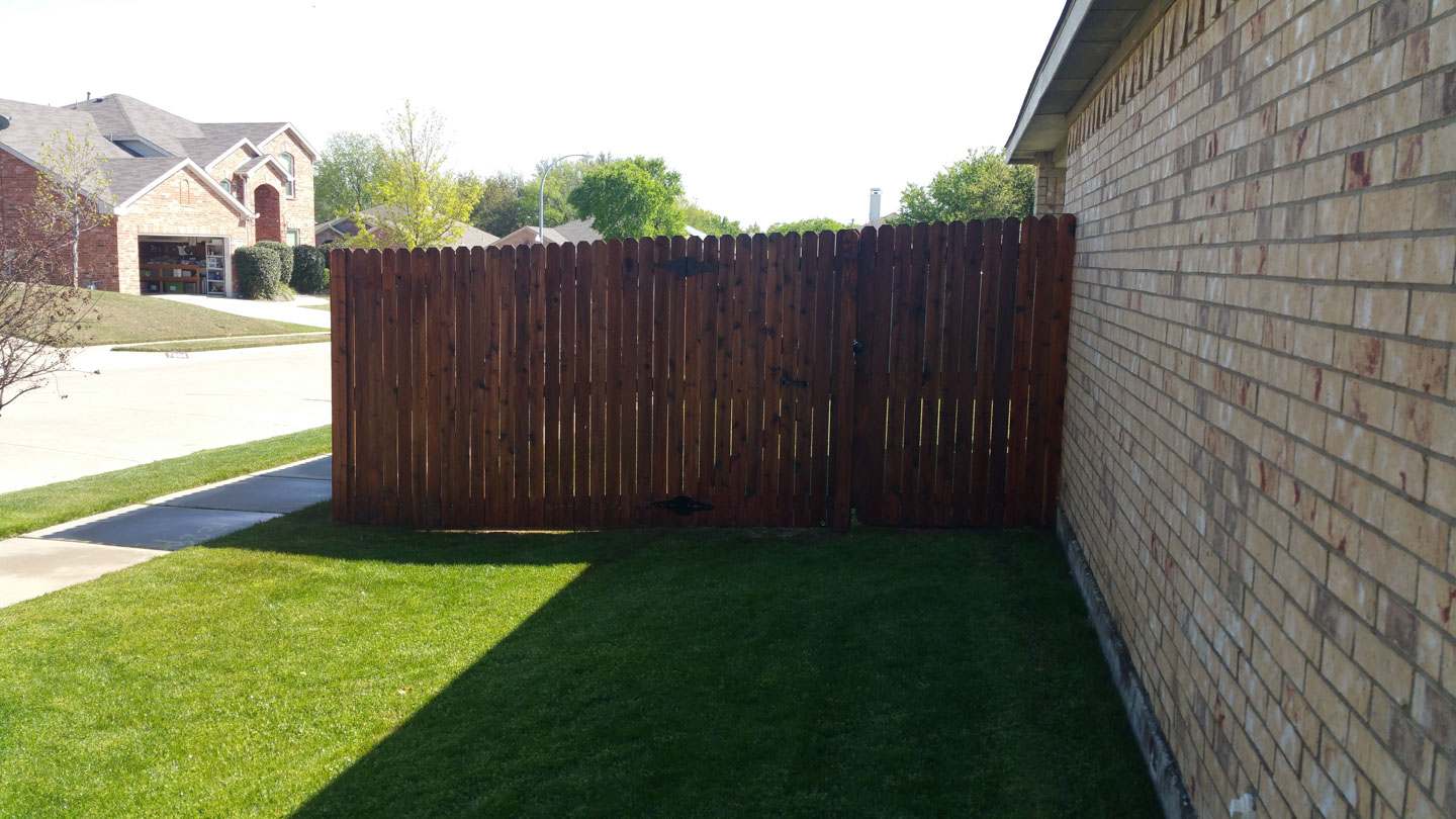 after fence repair and stain