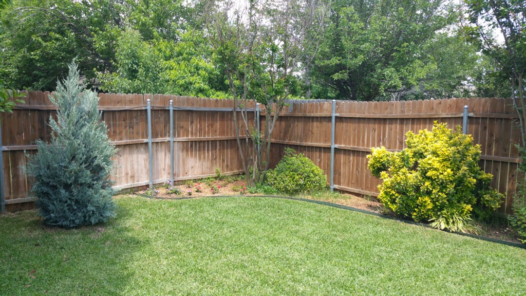 before fence stain